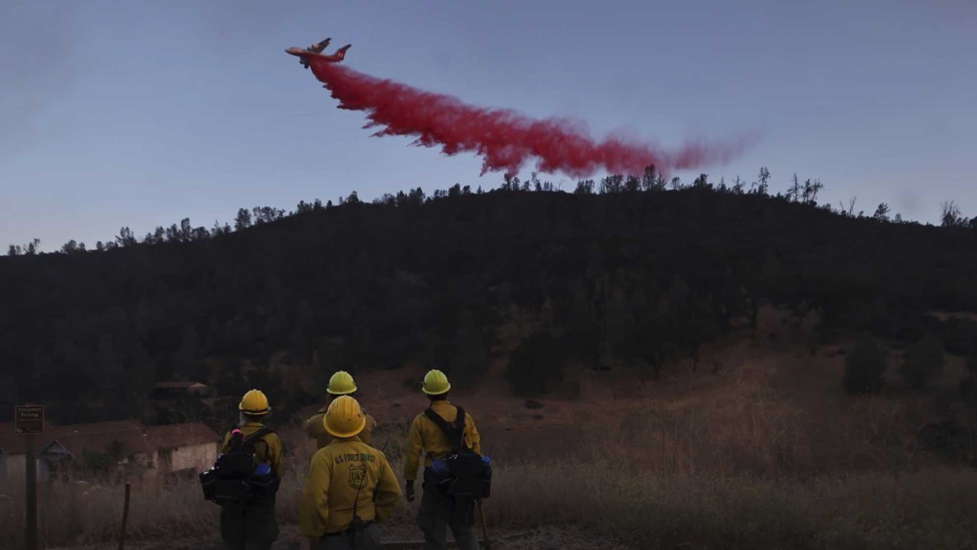 Trump Wildland Firefighting Programs