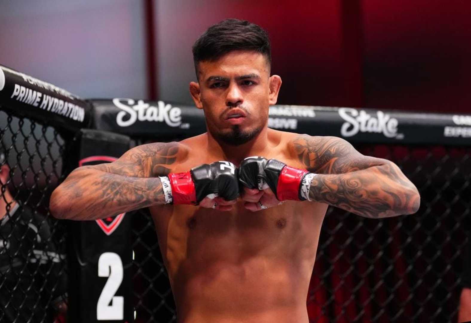 Ufc 317 Fight Card Updates