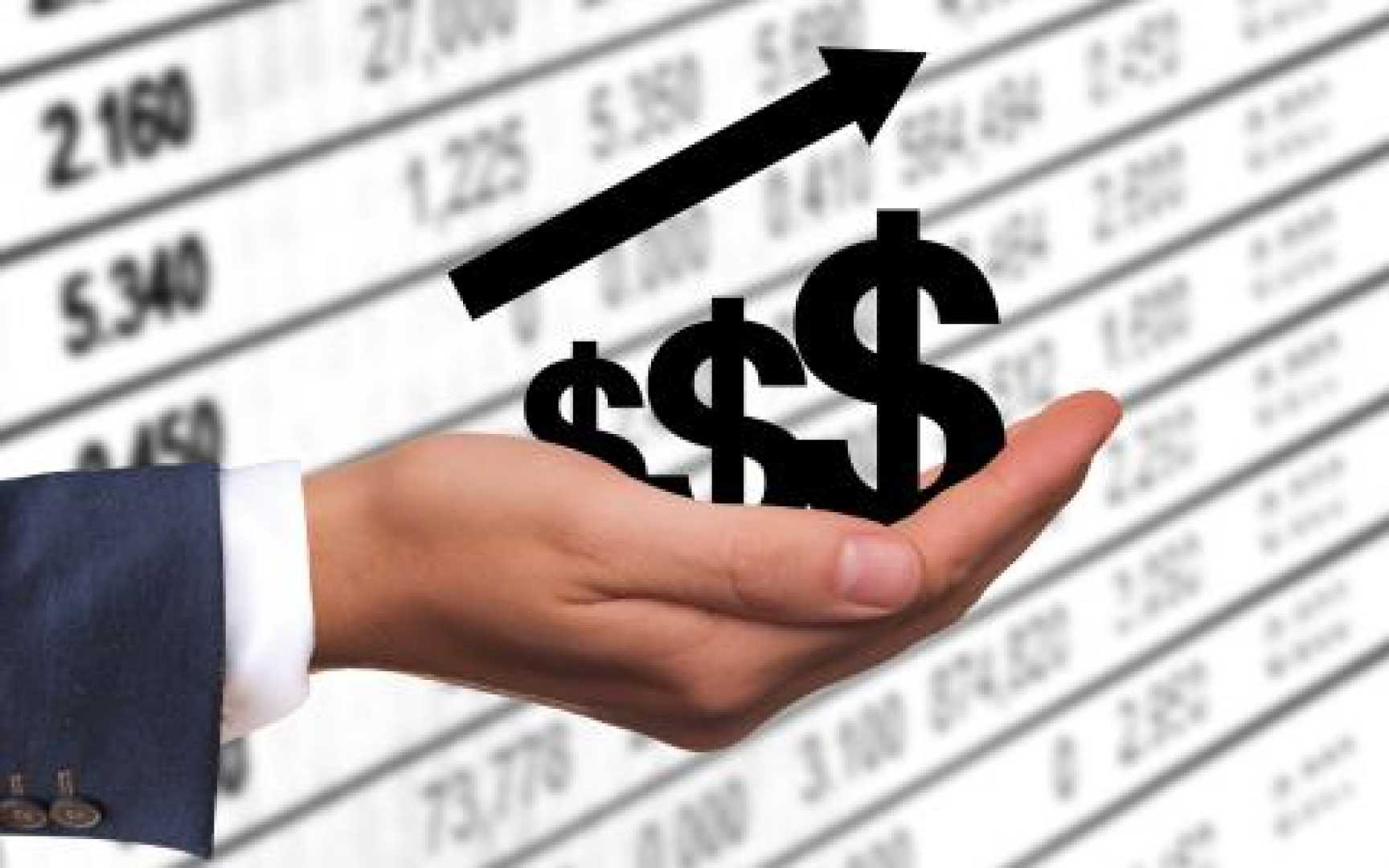 Us Long Term Debt Funds Investors