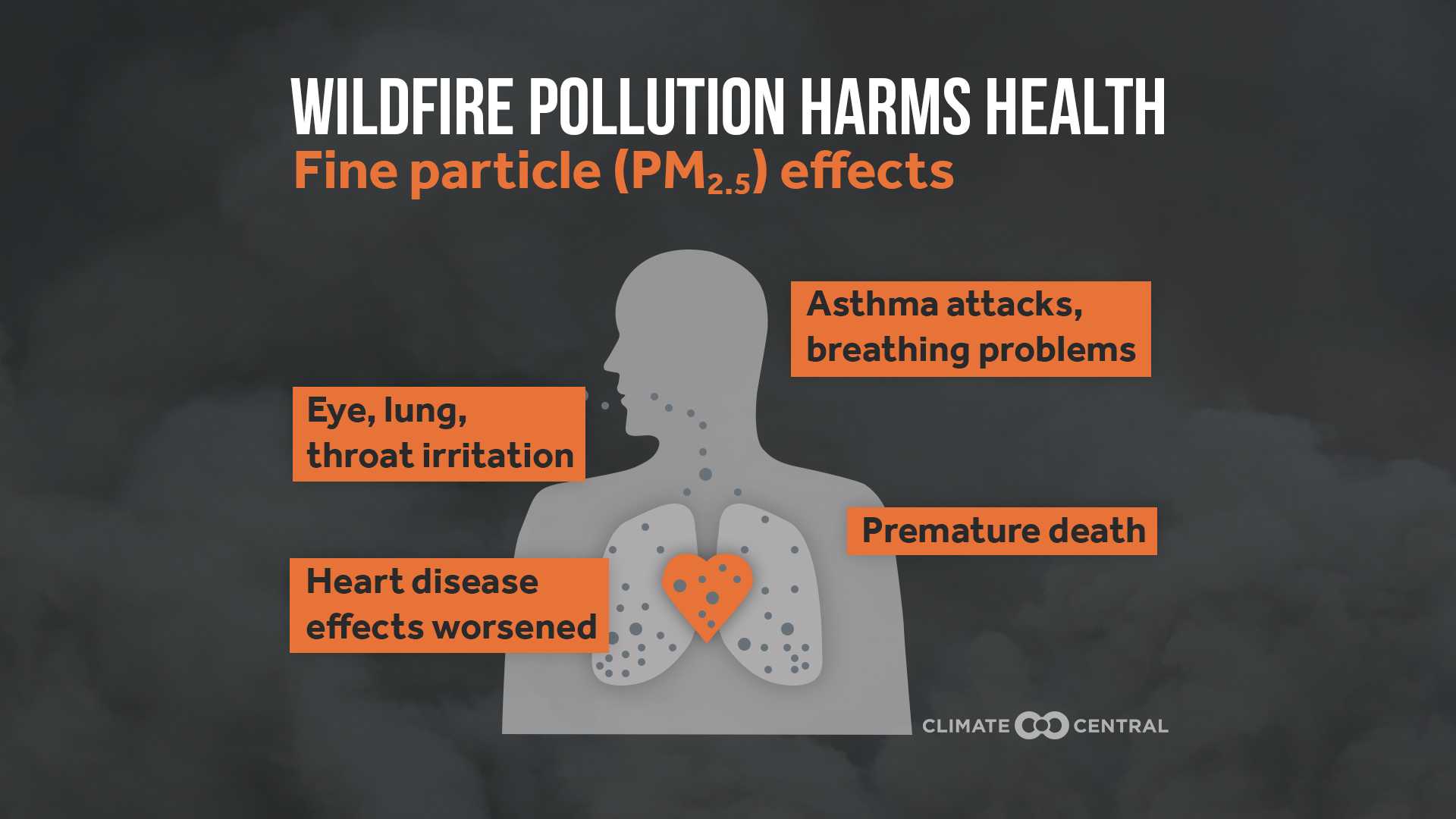 Wildfire Smoke Health Effects Study