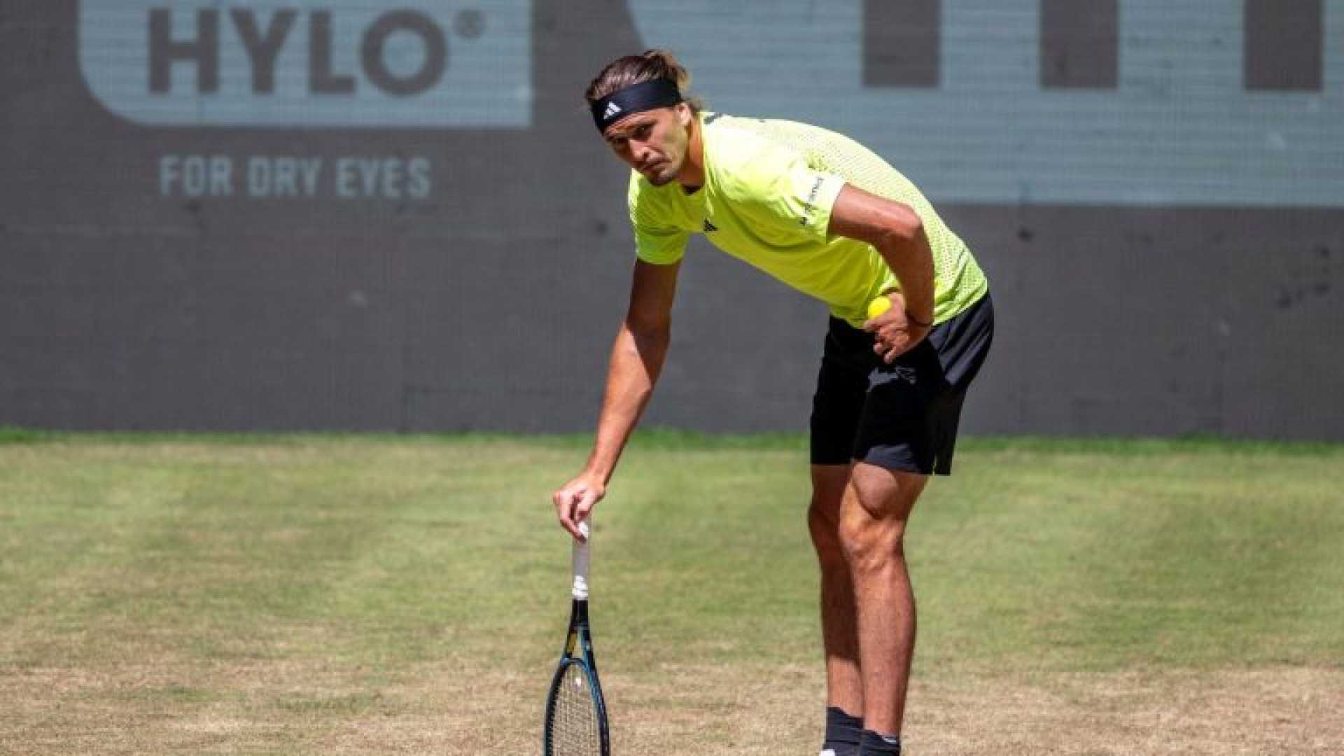 Zverev Halle Open Tennis Match
