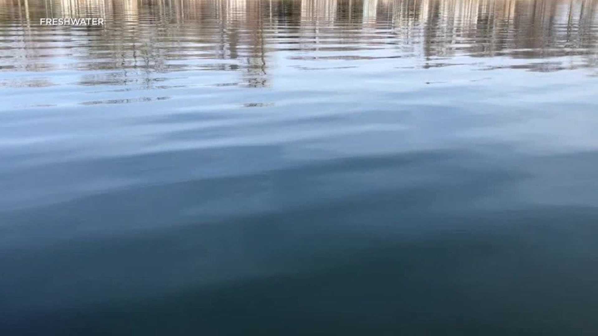 8 Year Old Boy Drowning Incident Maple Plain Beach