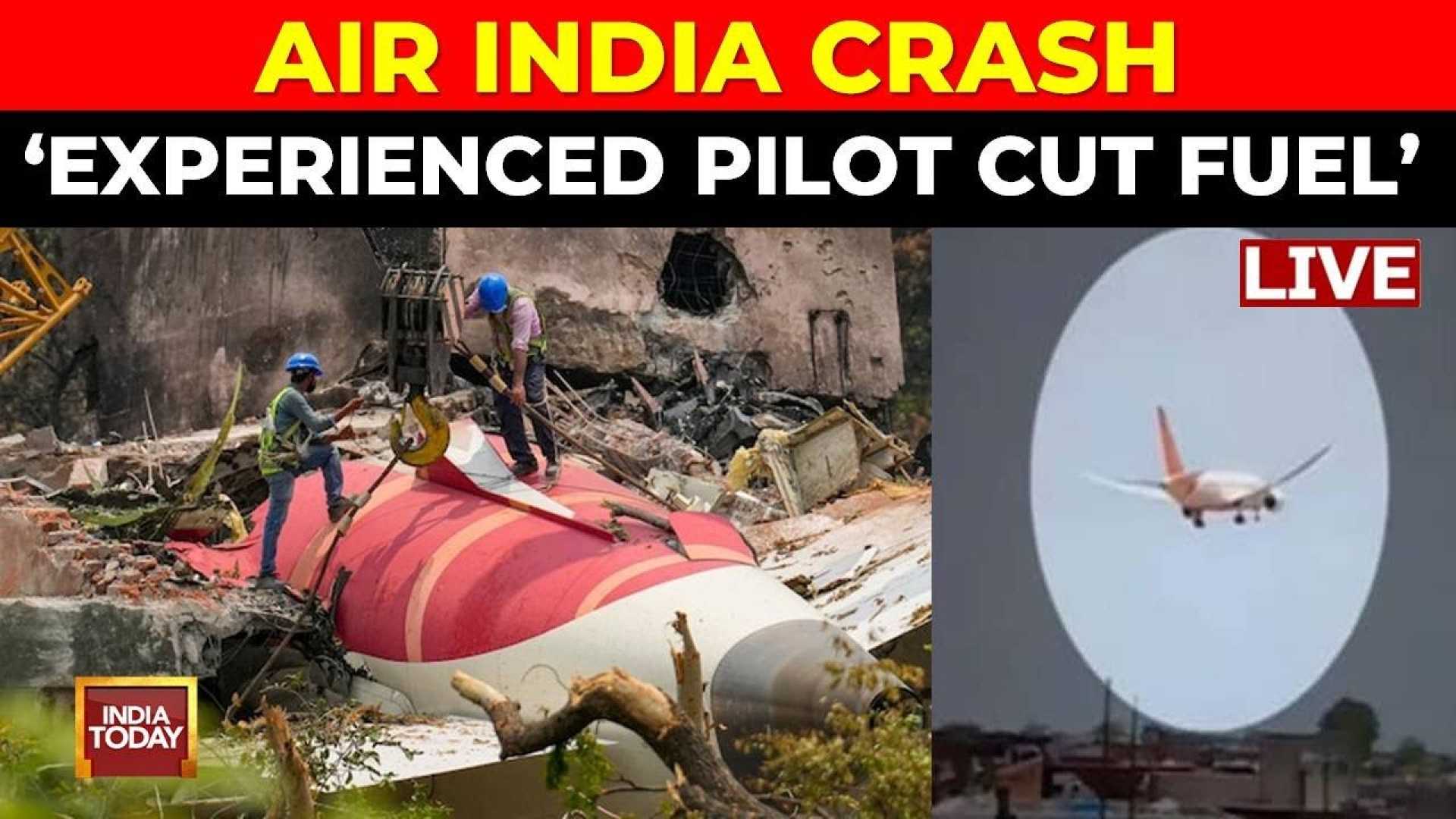 Air India Crash Ahmedabad Pilot Investigation