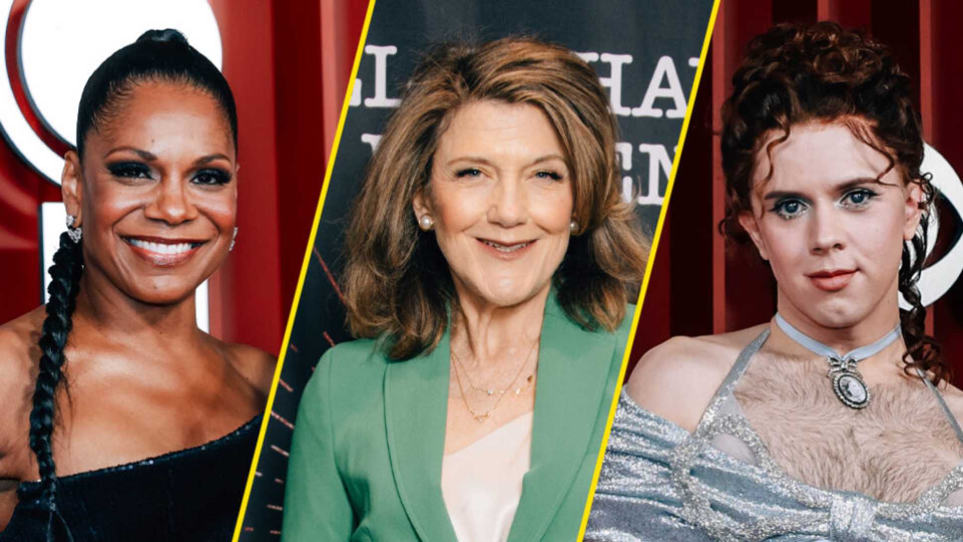 Audra Mcdonald Broadway Barks Event