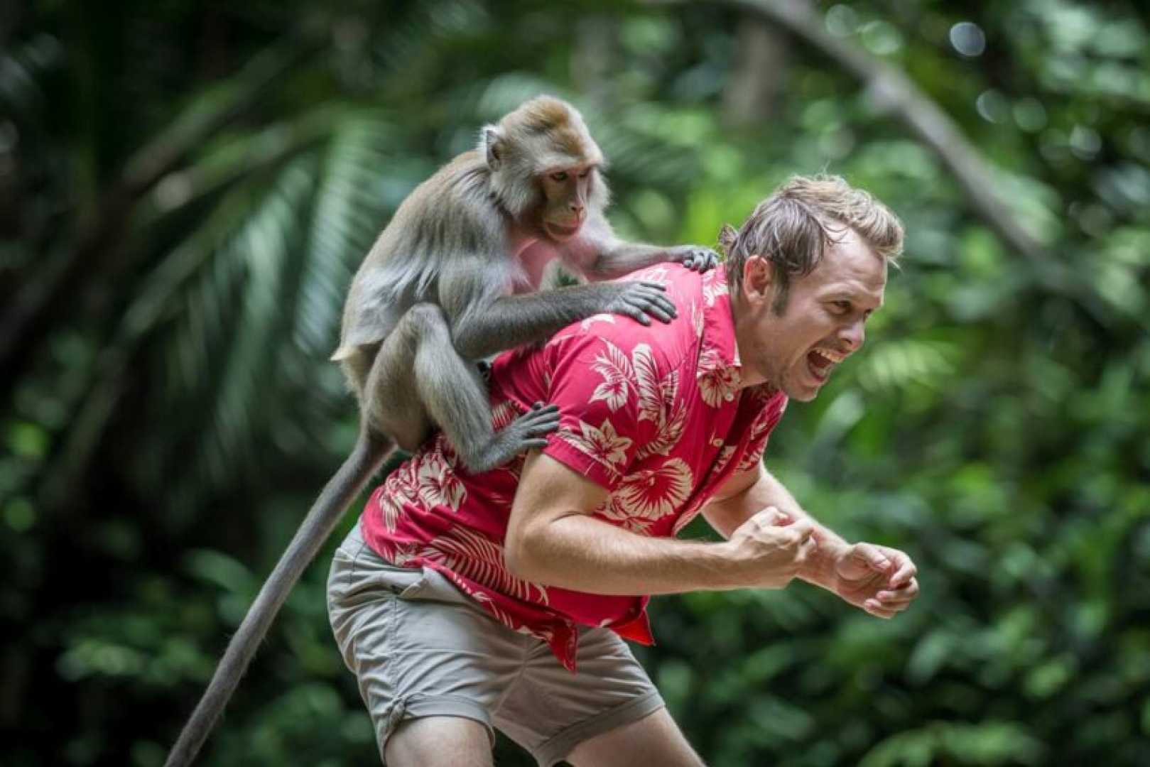 Bali Rabies Outbreak Tourism Warning