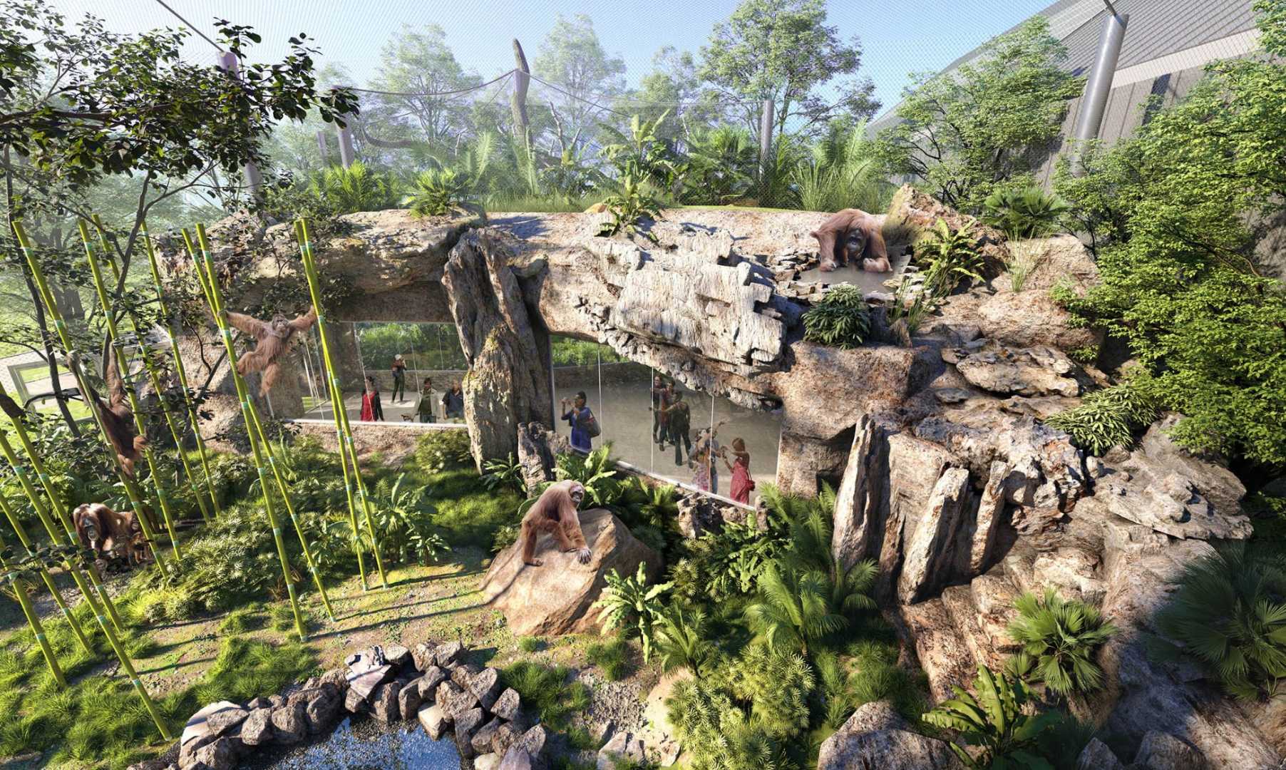 Brookfield Zoo Chicago Tropical Forests Opening