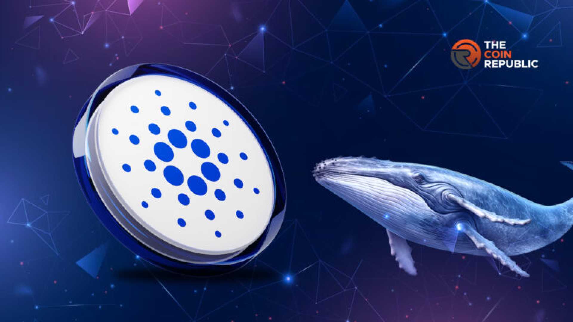 Cardano Ada Price And Whale Activity