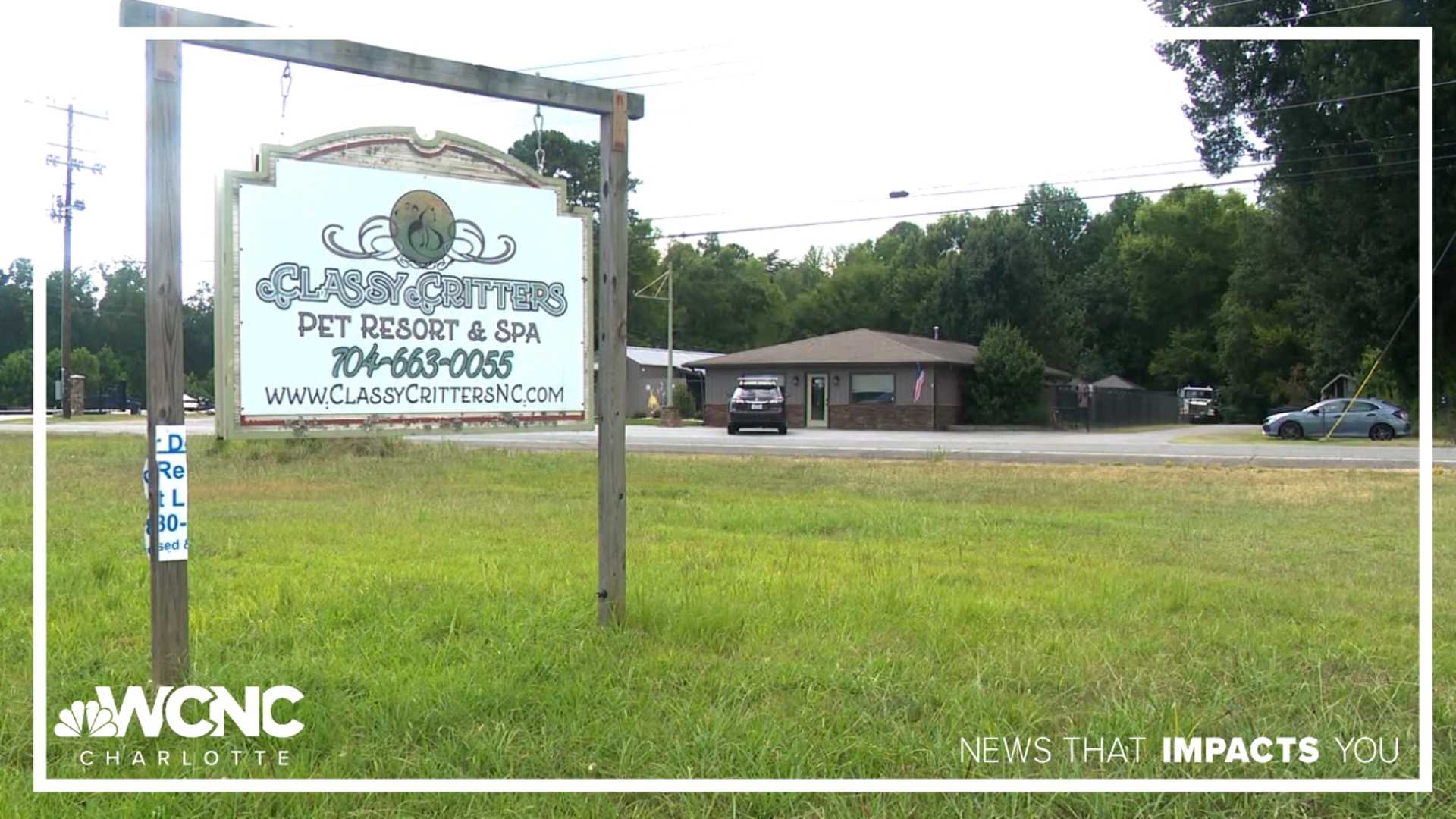 Classy Critters Pet Resort Abuse Allegations