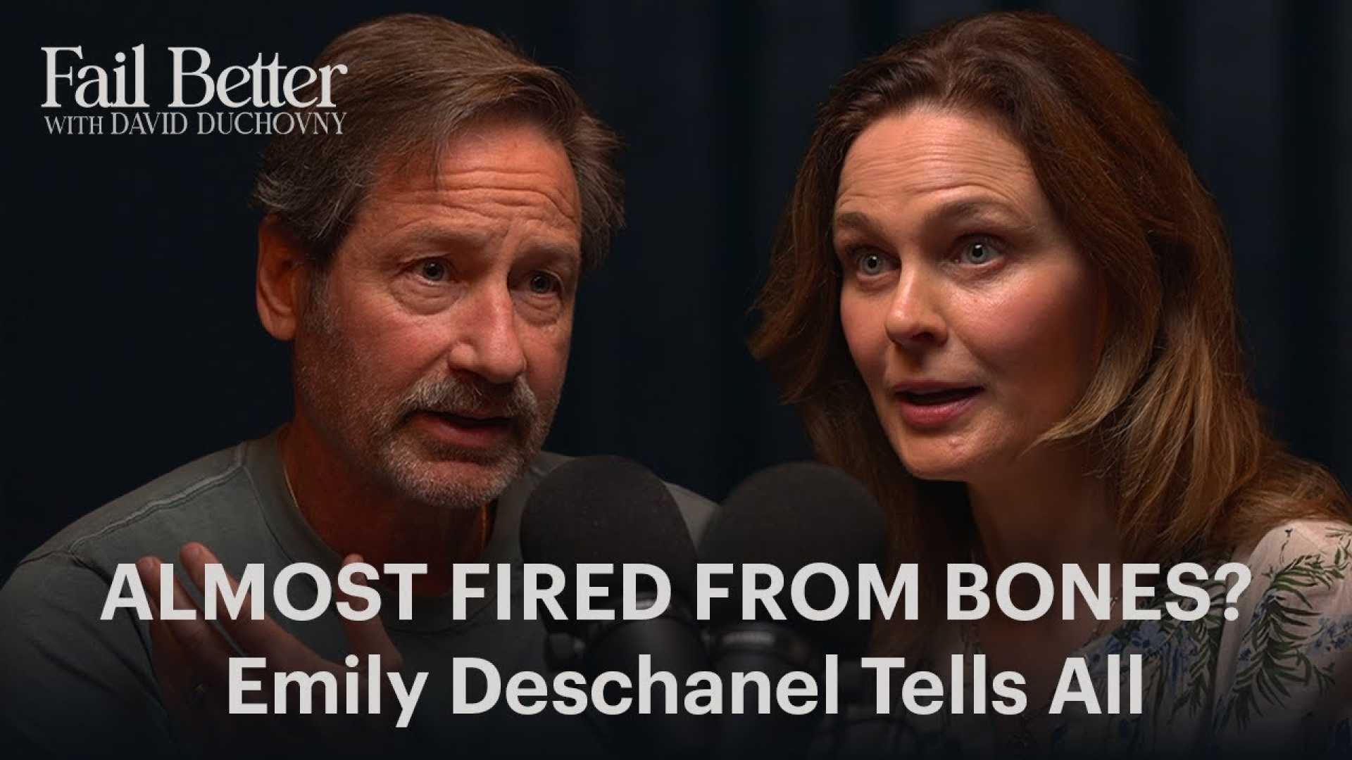 David Duchovny The X Files Character Consistency
