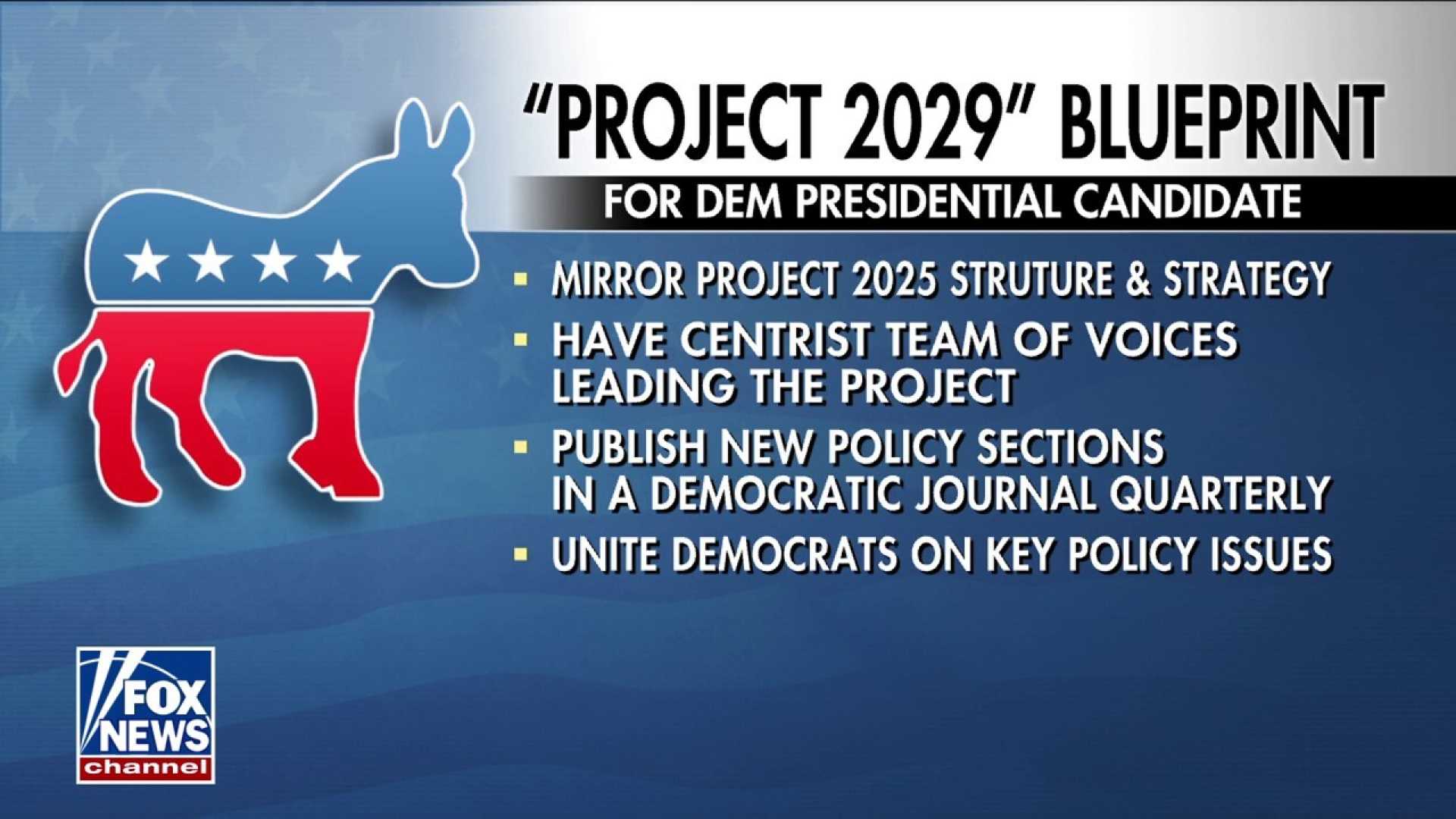 Democrats Project 2029 Political Strategy