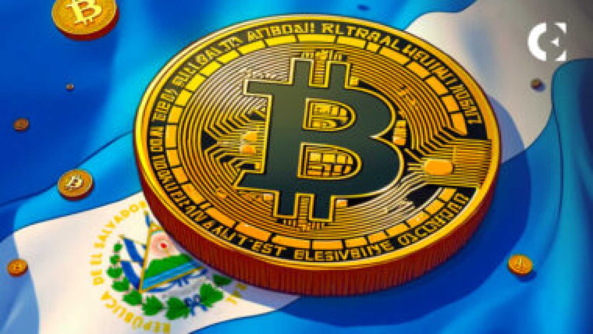 El Salvador Bitcoin Holdings Market Recovery