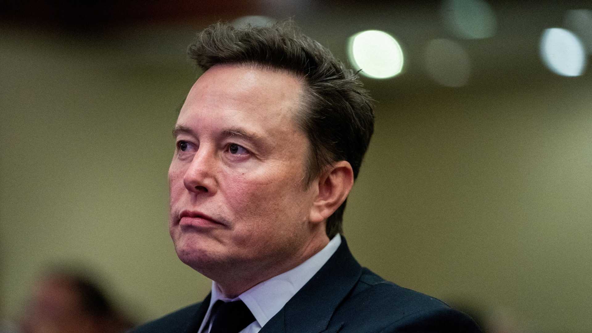 Elon Musk Political Party