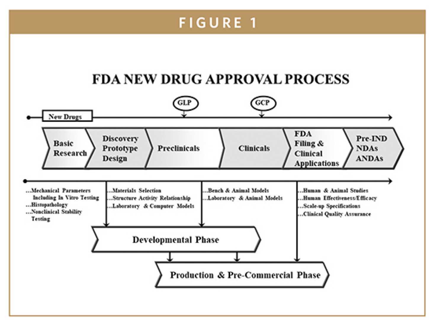 Fda Challenges And Drug Approvals