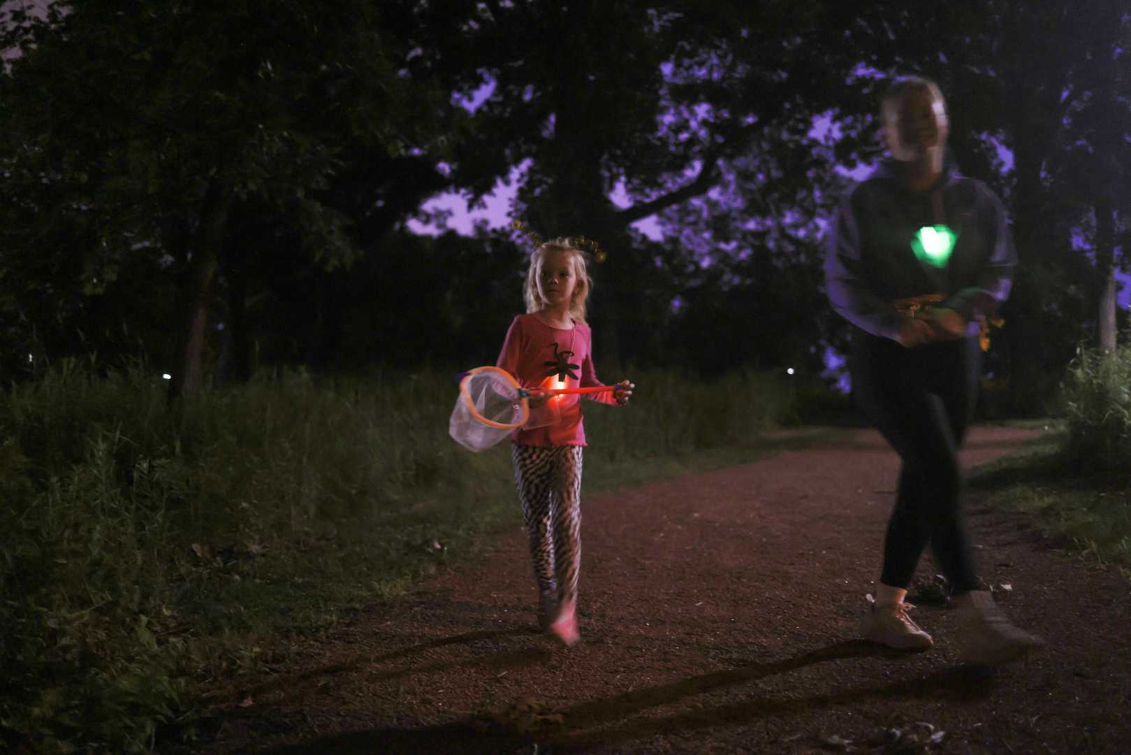 Fireflies Nature Hike Bolingbrook Illinois