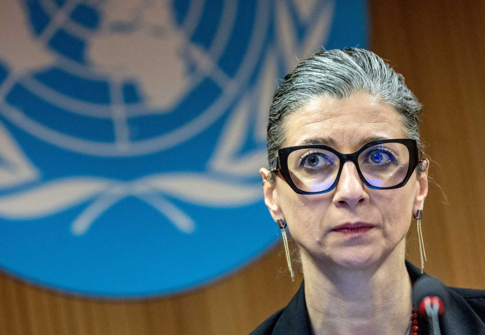 Francesca Albanese Un Expert Human Rights