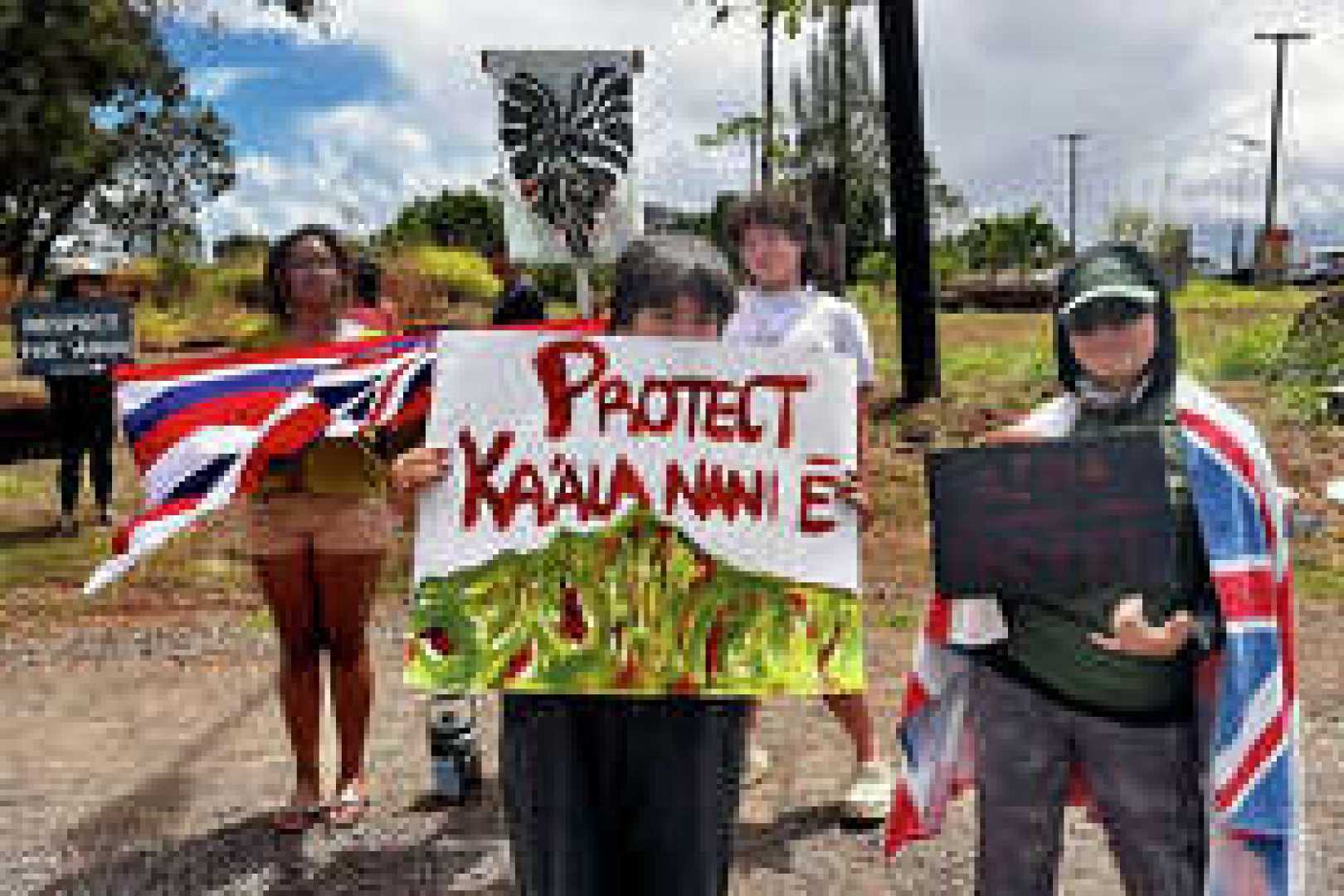 Haleiwa Backyards Development Protest
