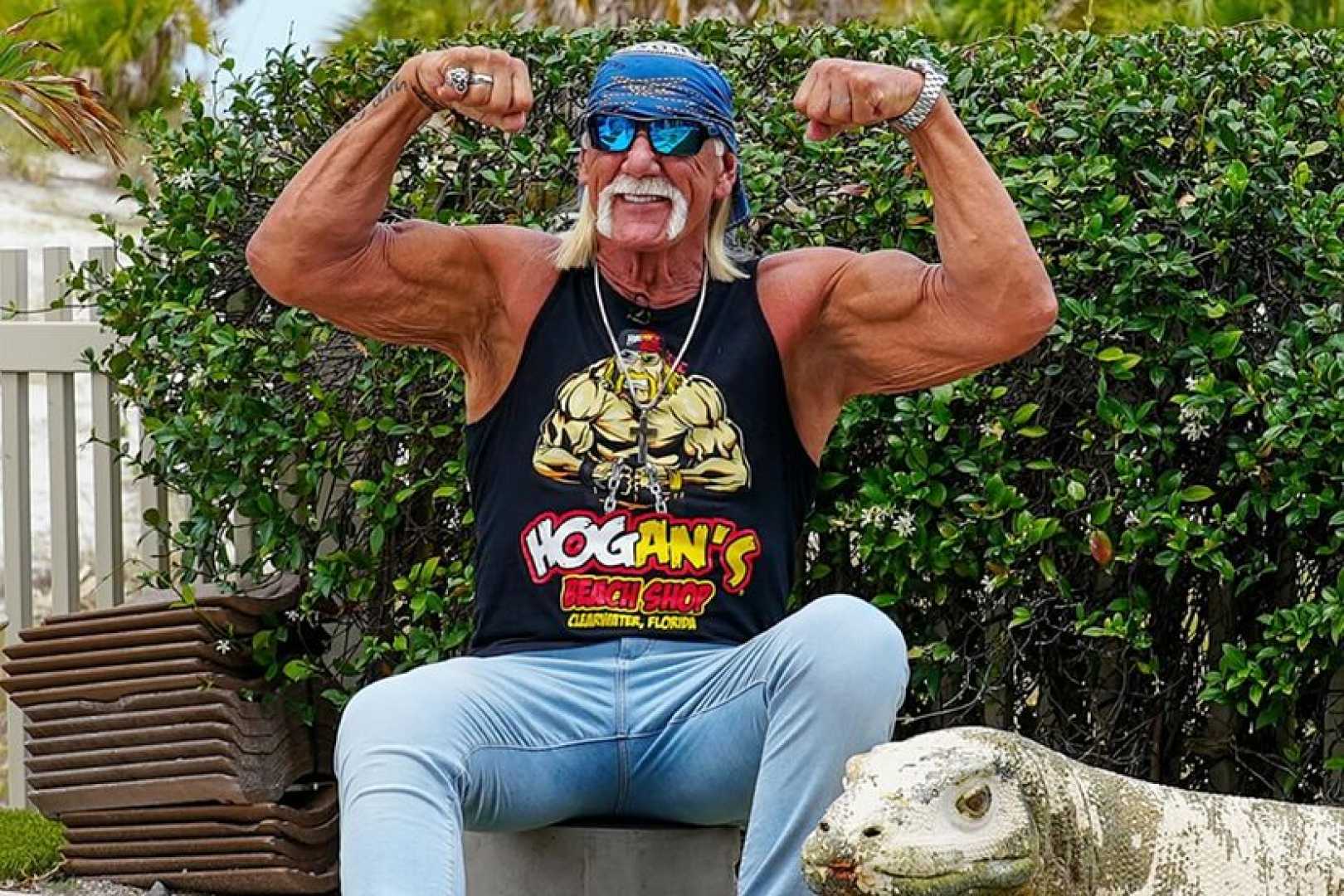 Hulk Hogan Wrestling Icon