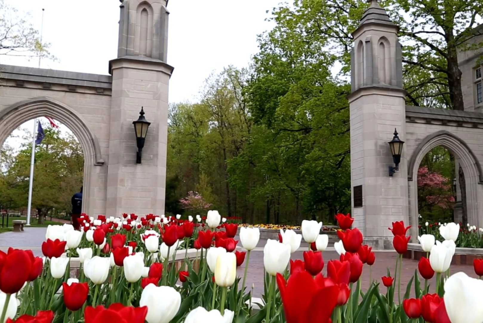 Indiana University Academic Programs Changes