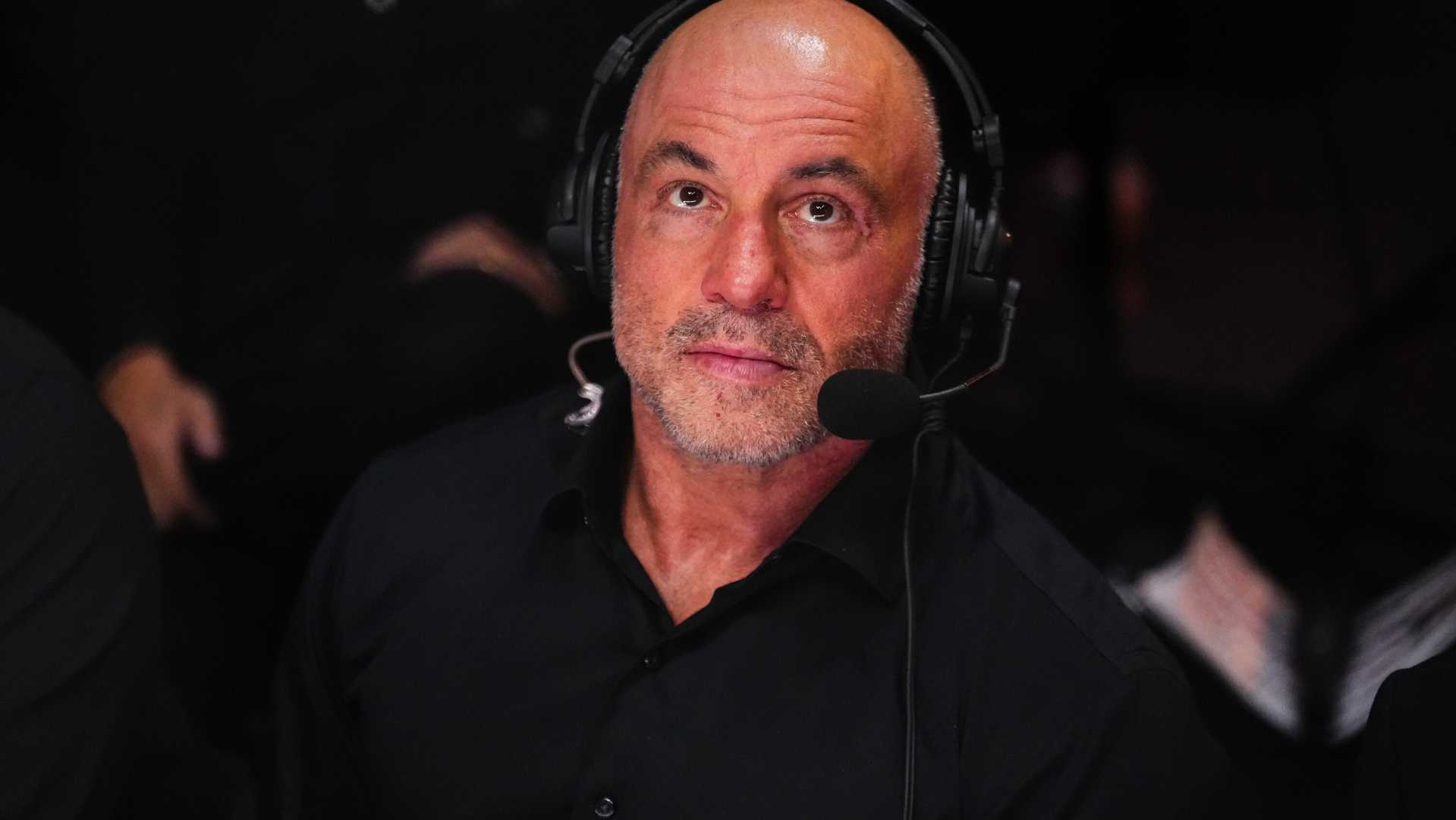 Joe Rogan Podcast Jeffery Epstein Trump