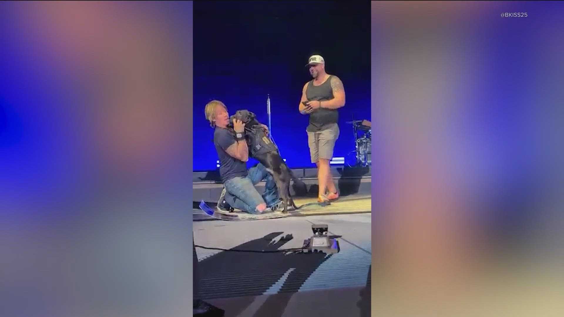 Keith Urban Service Dog Concert