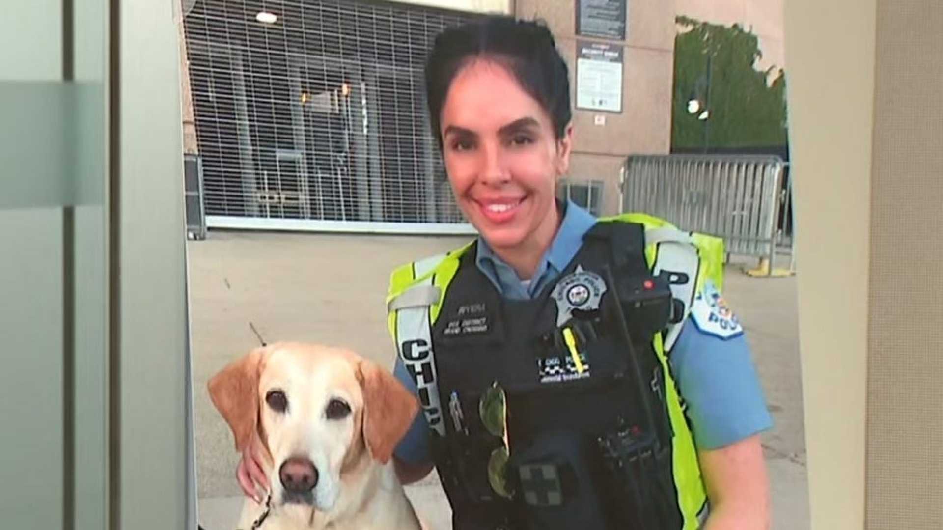 Krystal Rivera Chicago Police Shooting Investigation