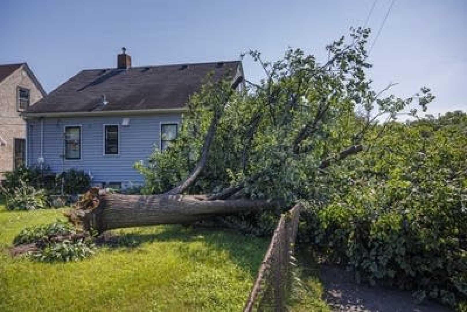 Minnesota Storm Damage Power Outage