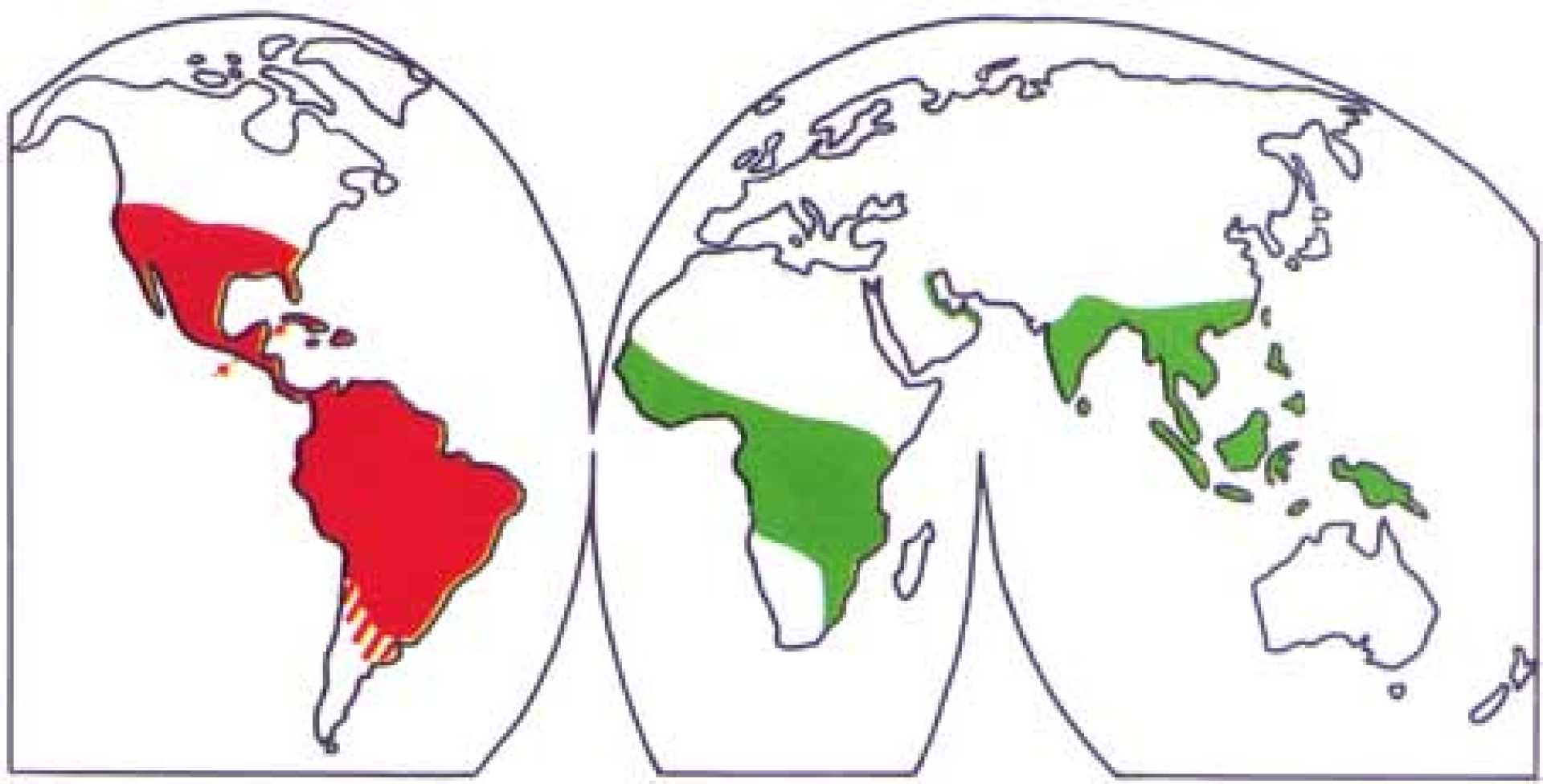 New World Screwworms And Flies Distribution