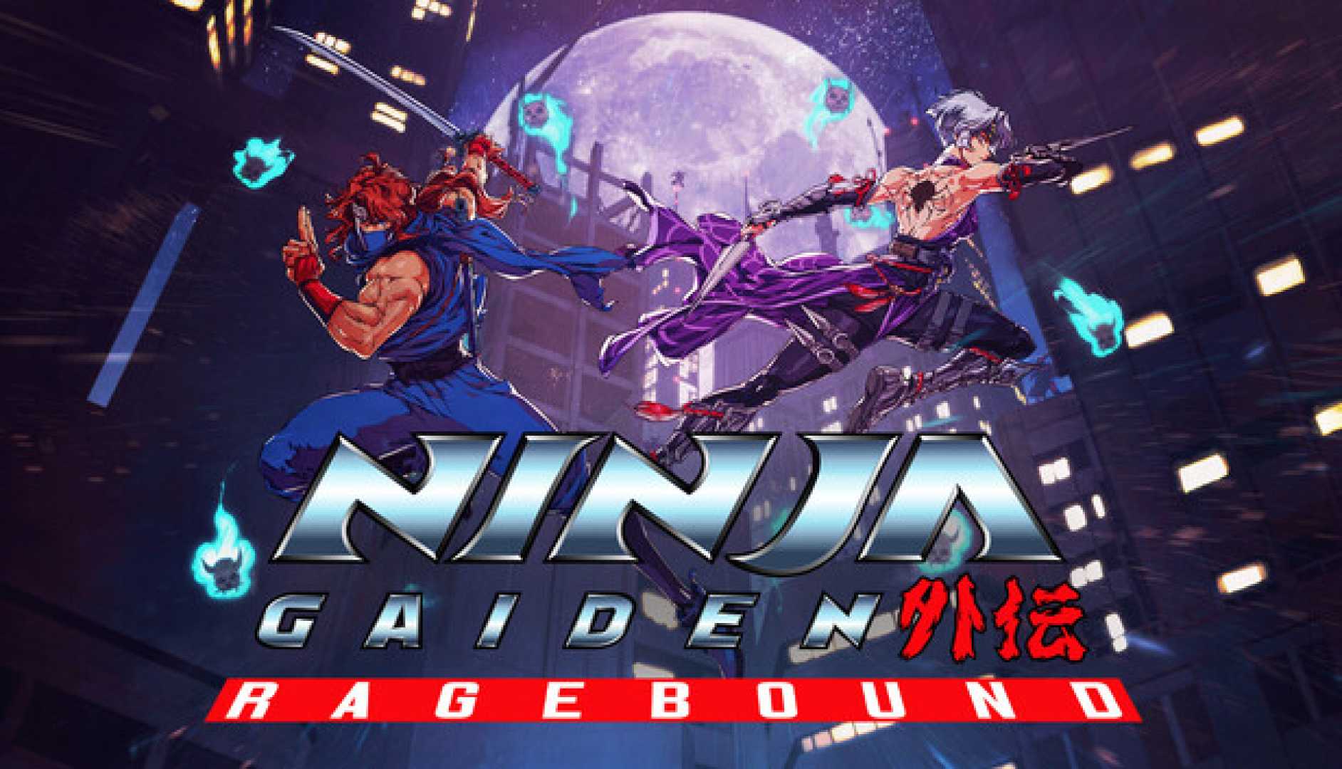 Ninja Gaiden Ragebound Video Game