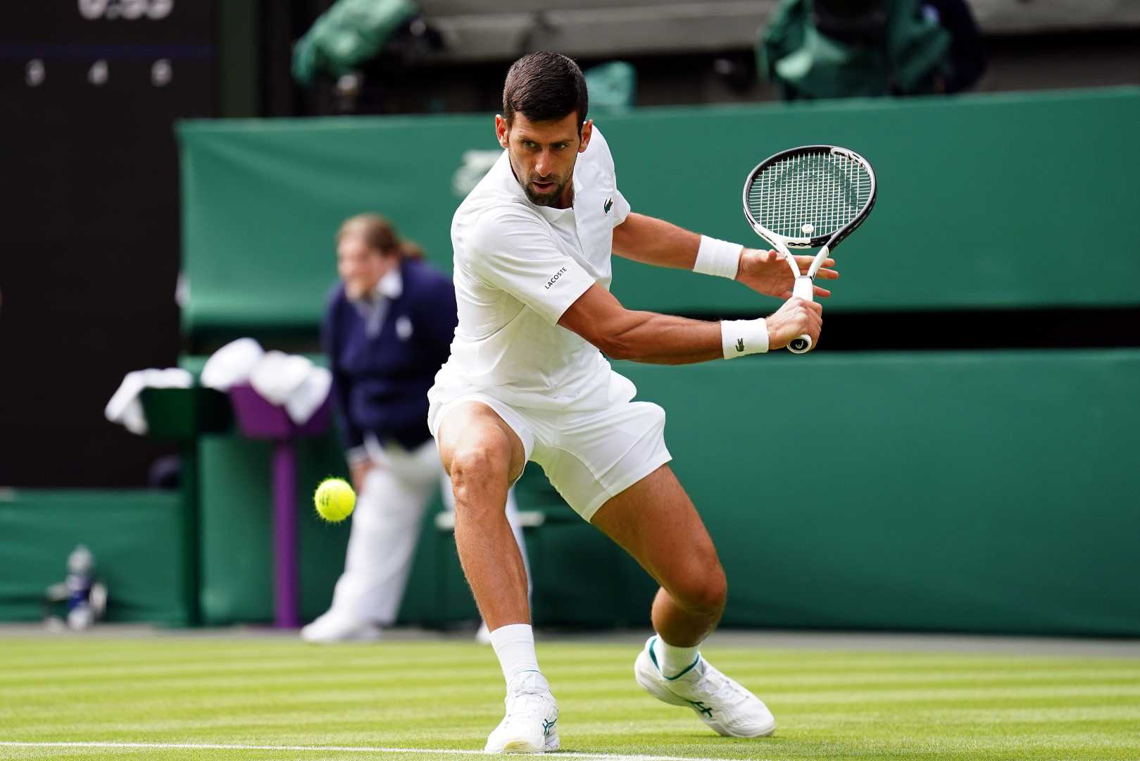 Novak Djokovic Tennis Wimbledon