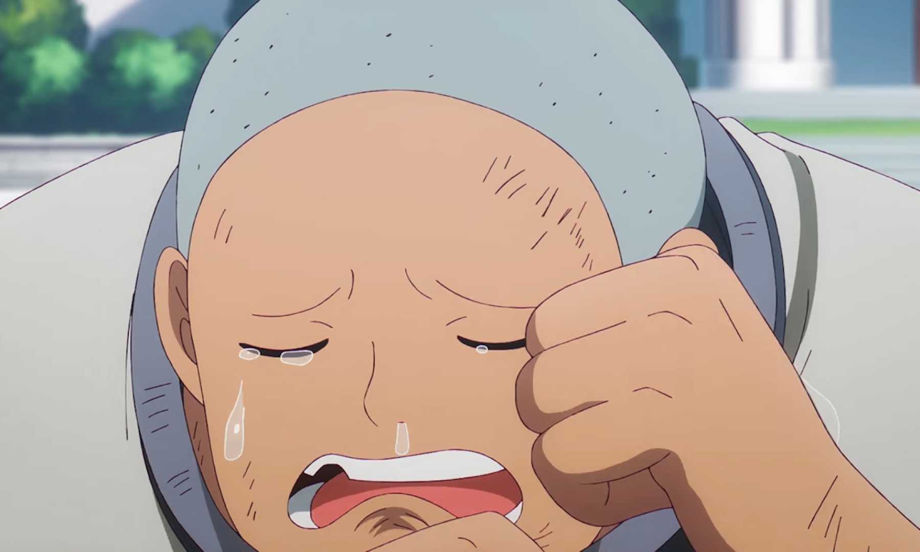 One Piece Kuma Backstory Anime