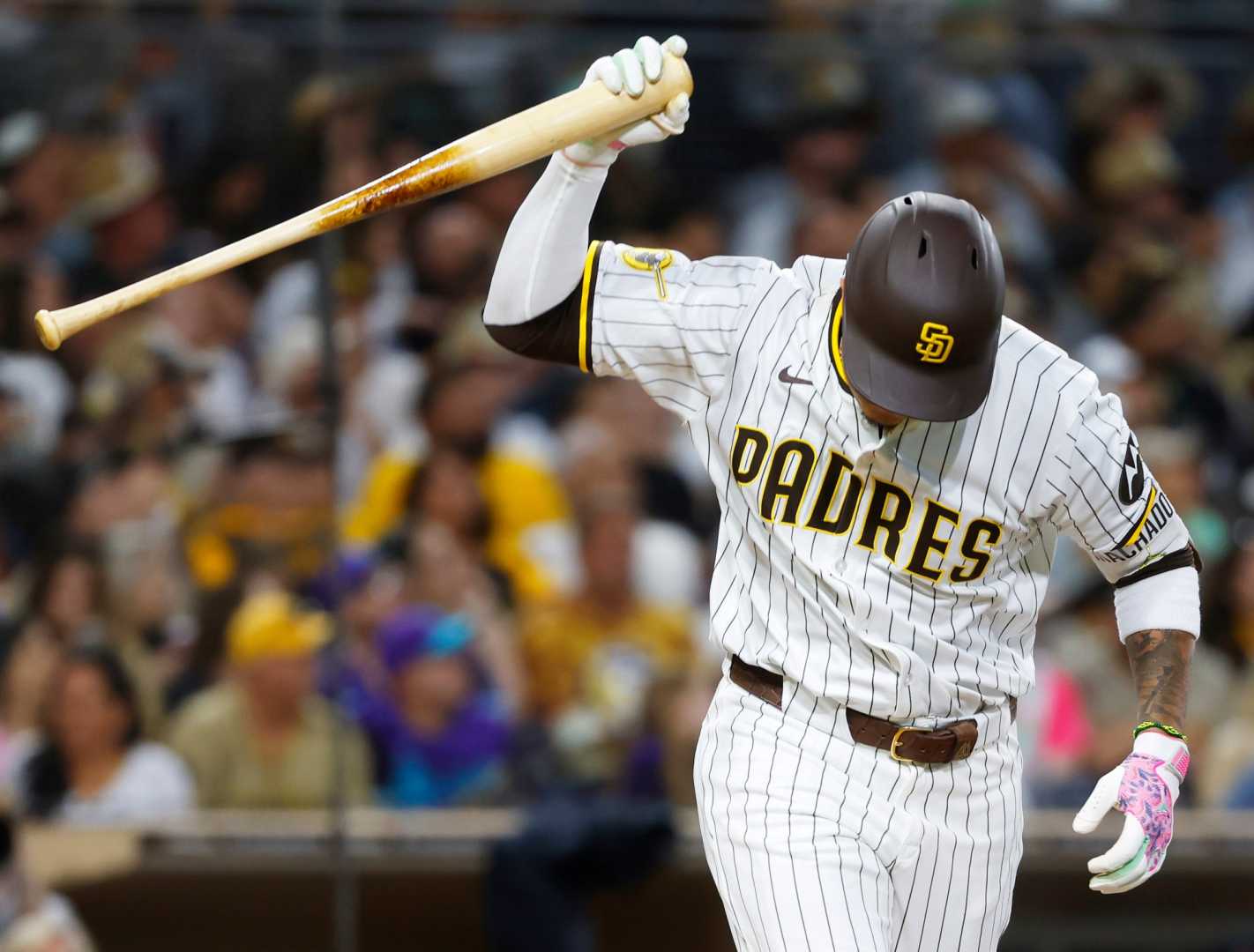 Padres Manager Mike Shildt Pinch Hitting Catcher