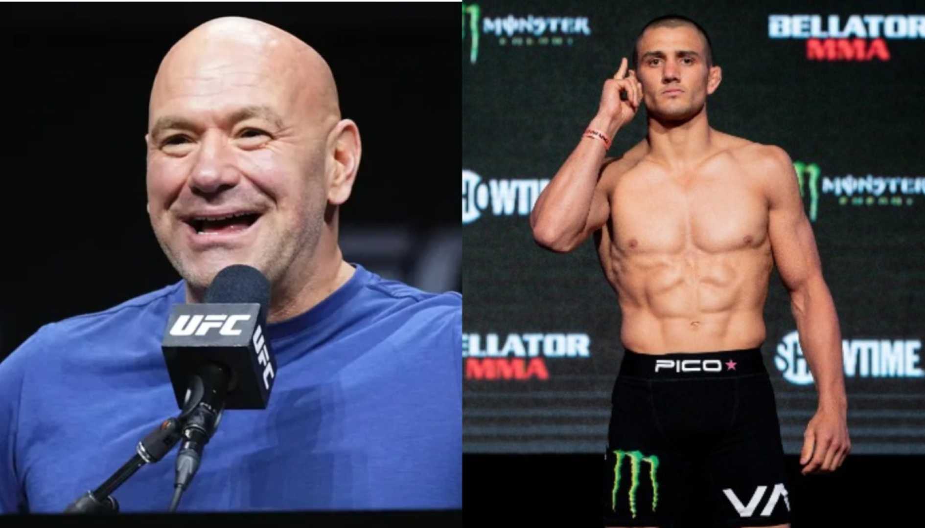 Pico Murphy Ufc Fight Announcement