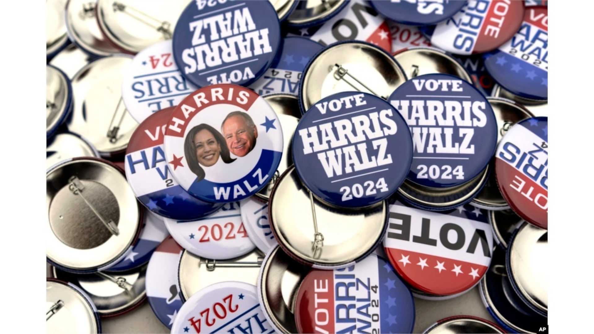Political Merchandise Voting Research