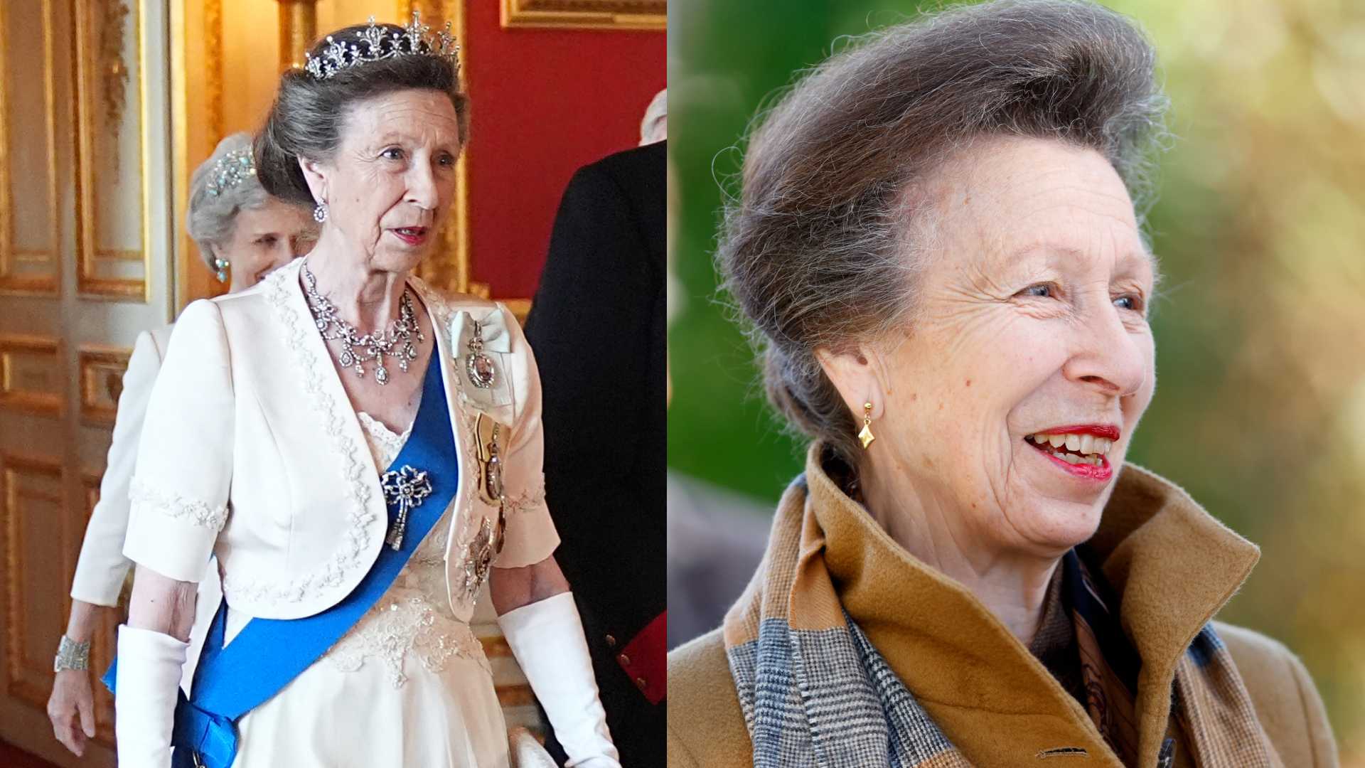 Princess Anne New Hairstyle French State Banquet