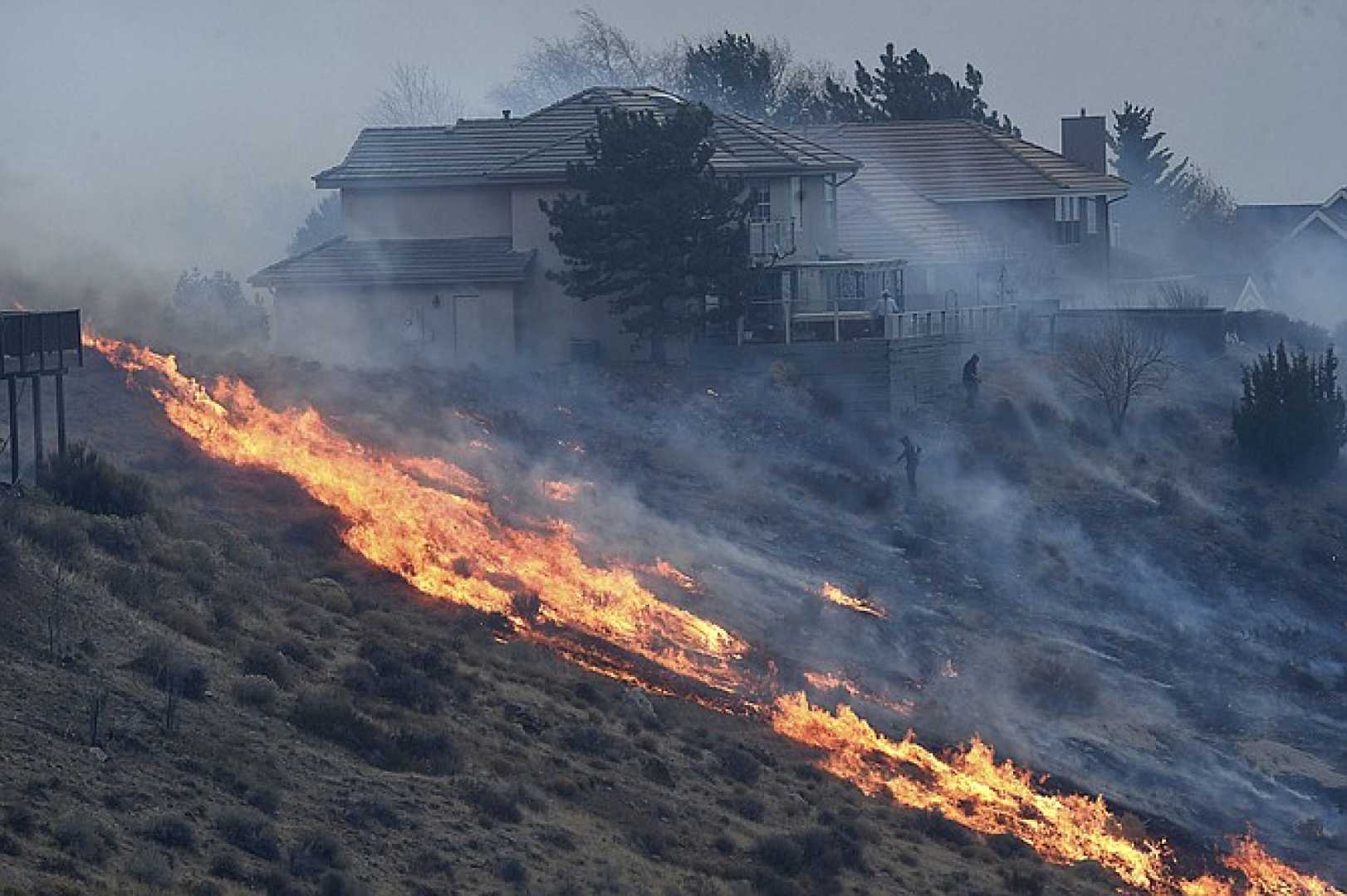 Reno Brush Fire