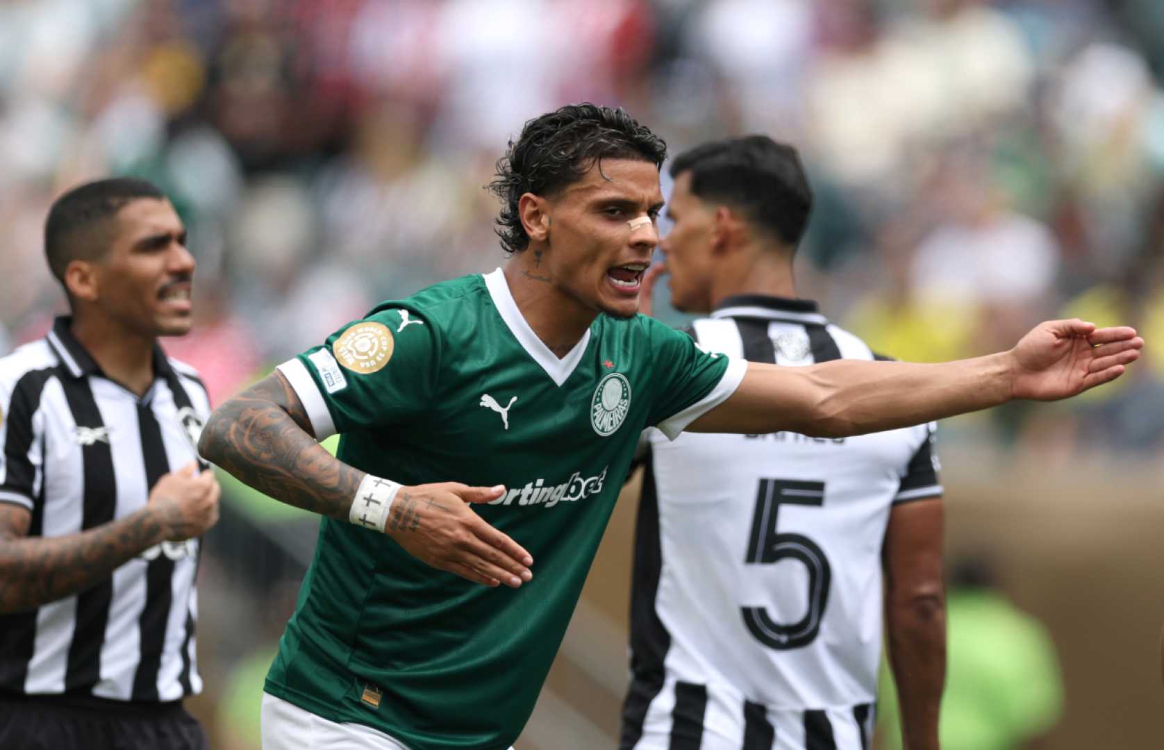 Richard Ríos Palmeiras Transfer Benfica