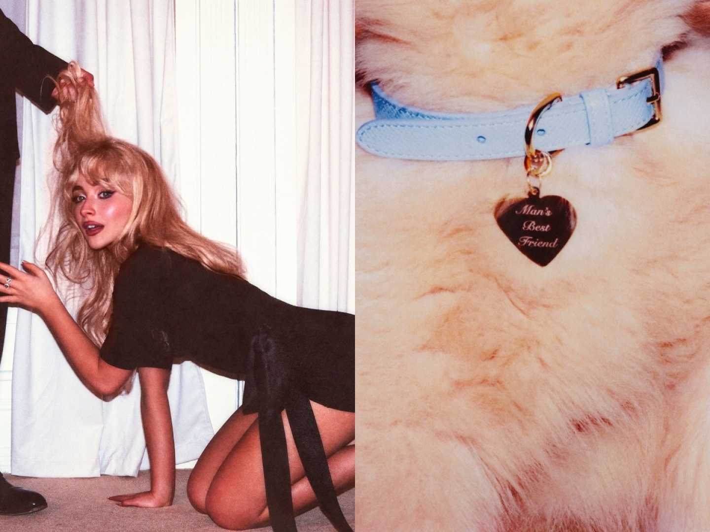 Sabrina Carpenter Album Release Puppy Fans