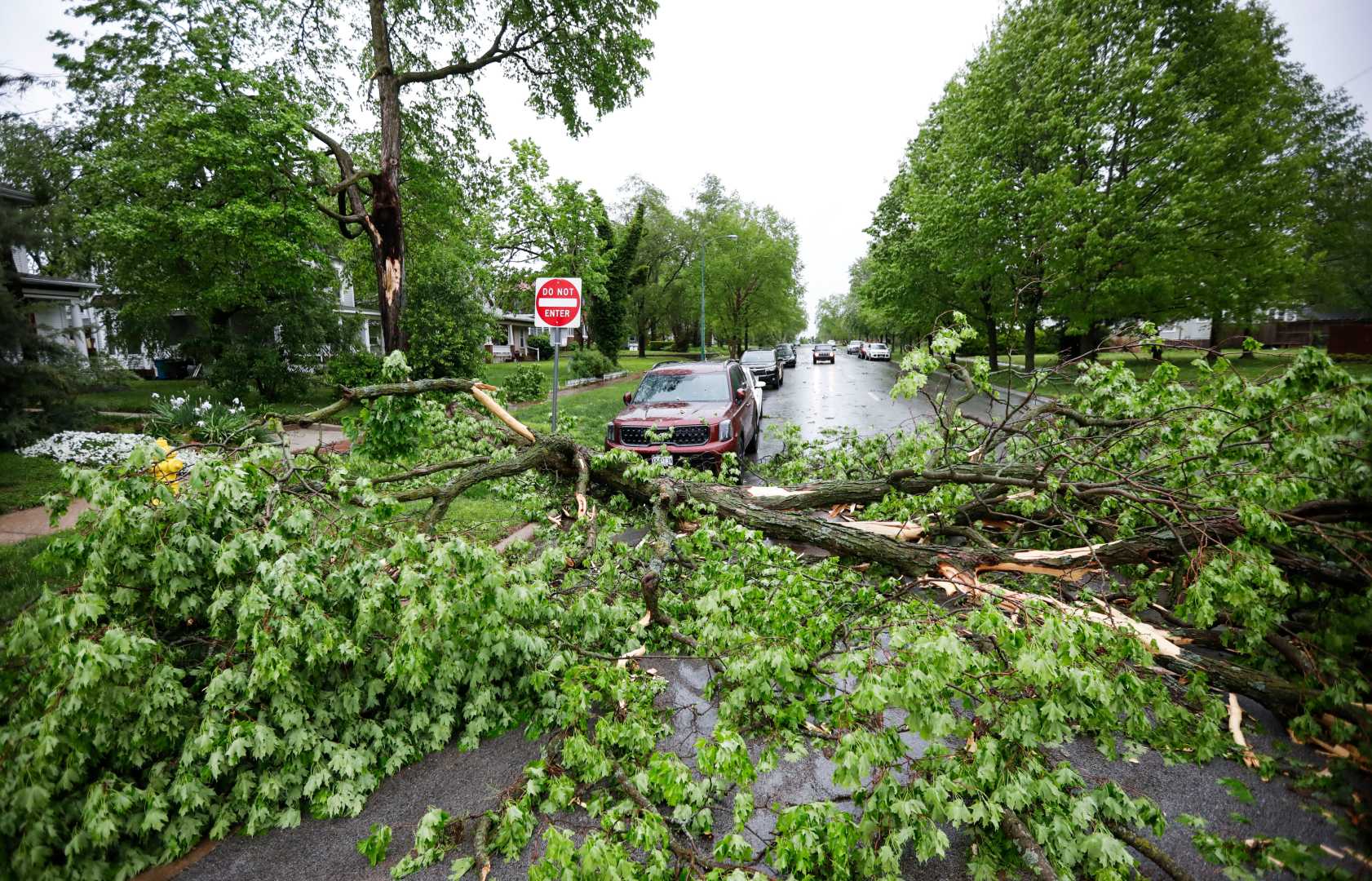Springfield Missouri Severe Storm Aftermath