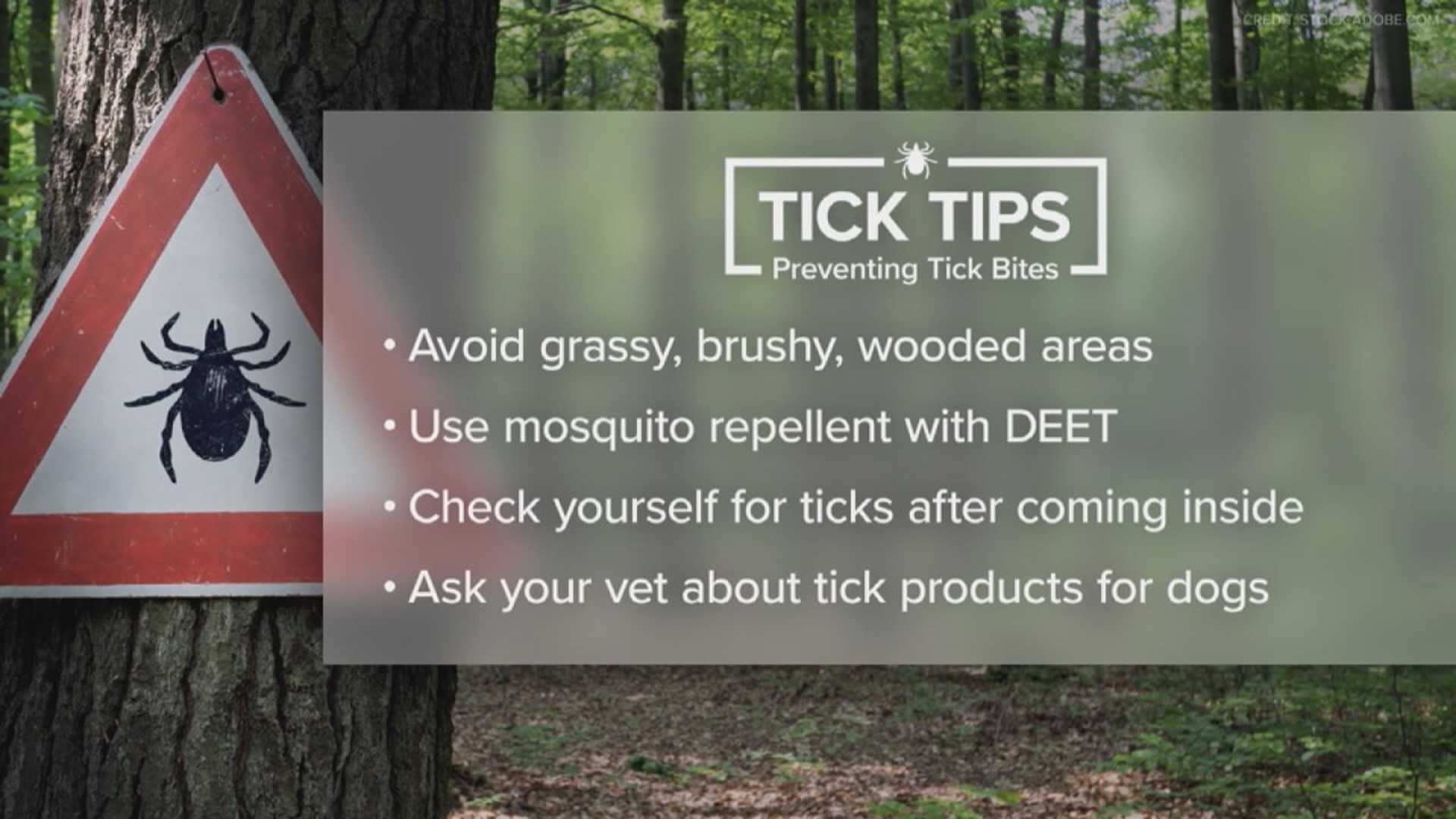 Ticks Health Prevention Ticks Outdoors