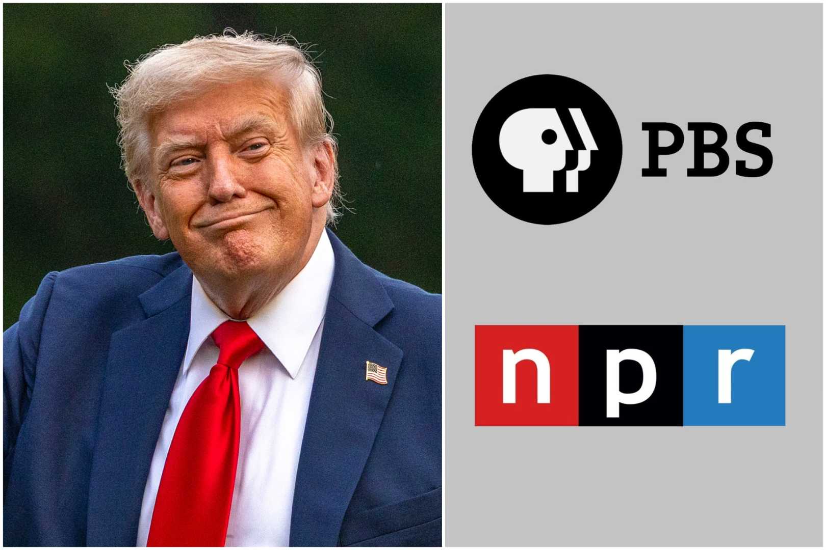 Trump Cuts Funding Npr Pbs