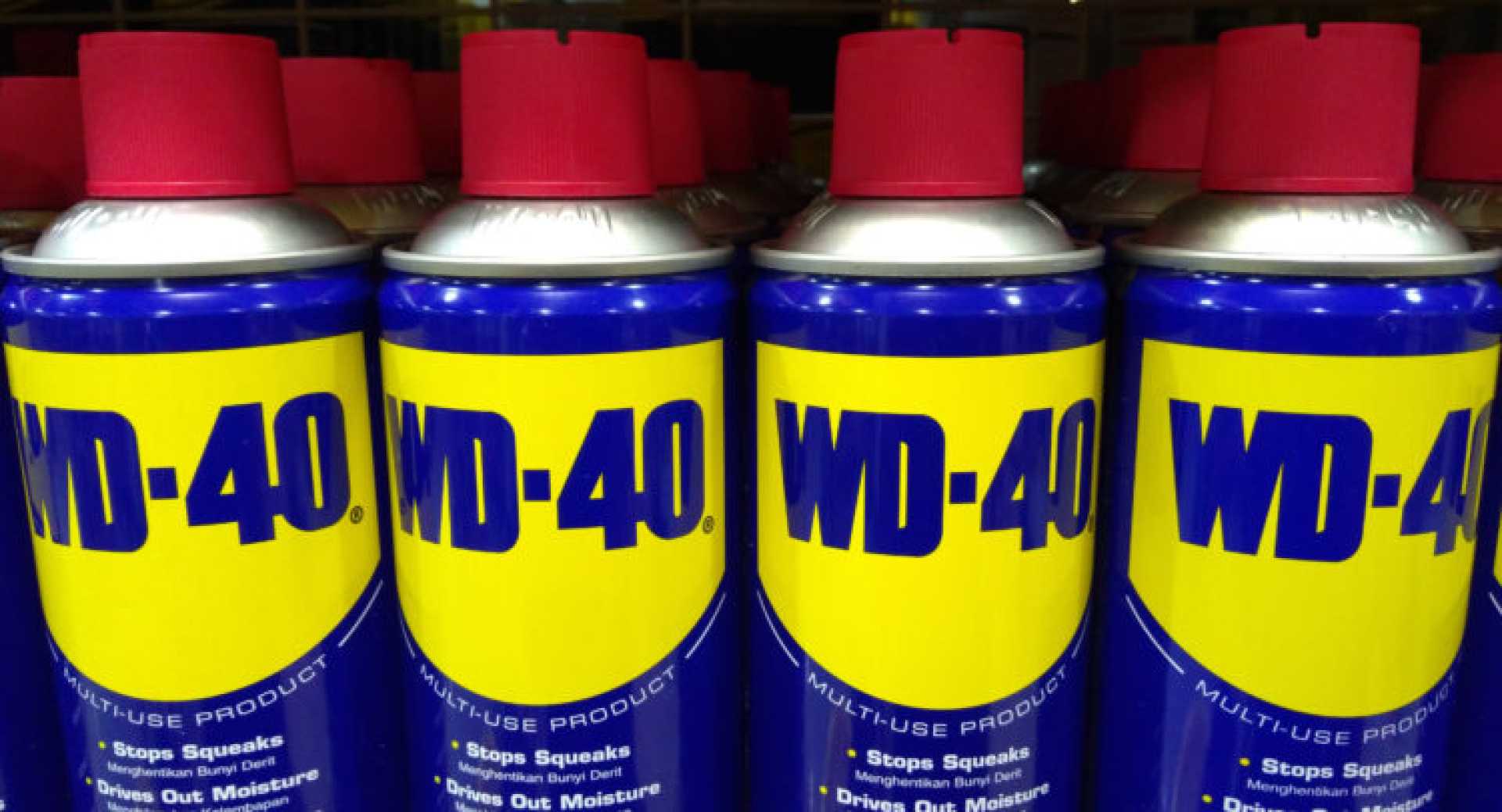 Wd 40 Company Earnings Call Highlights