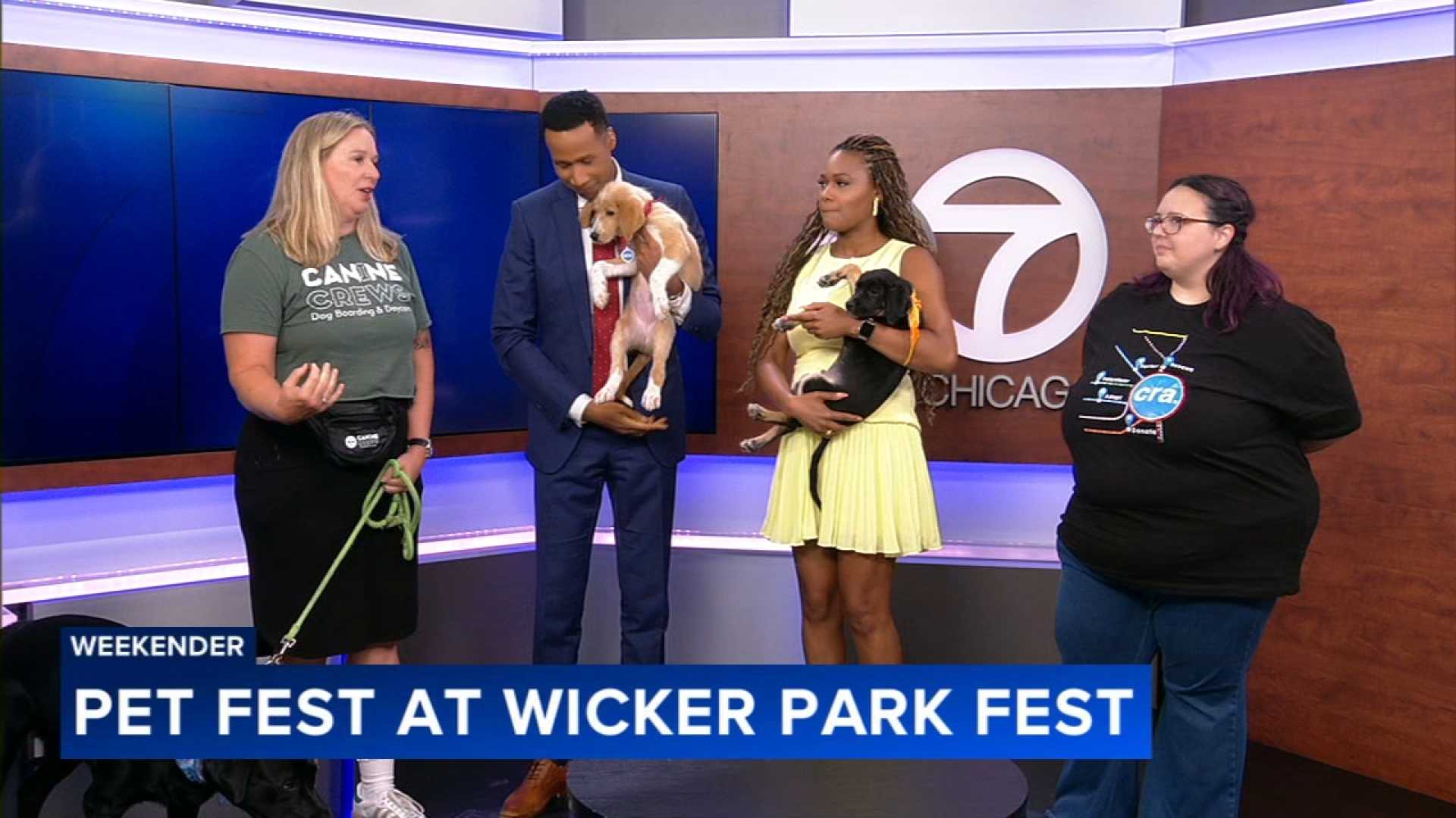 Wicker Park Fest Dog Activities