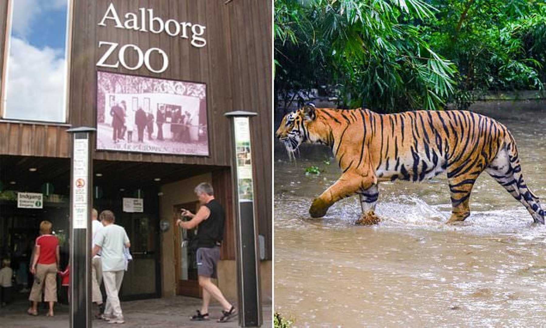 Aalborg Zoo Predator Feeding Pets