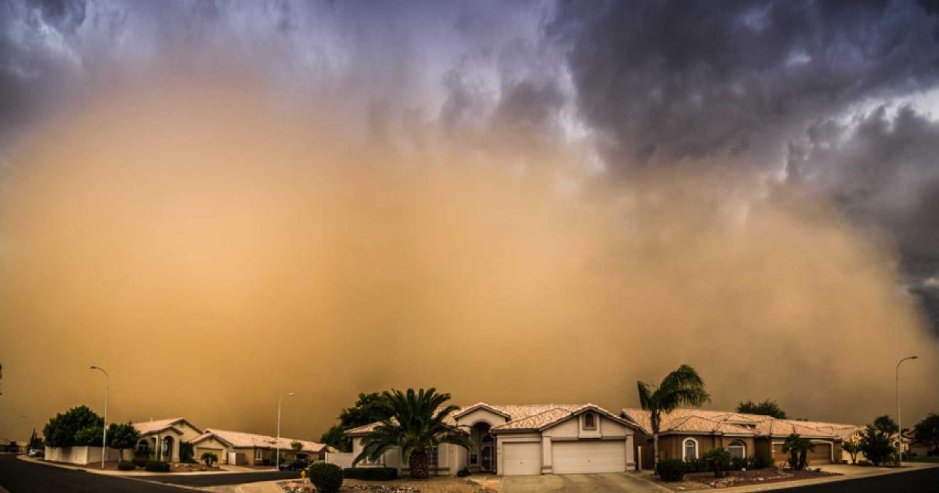 Arizona Dust Storm Safety Cat Video