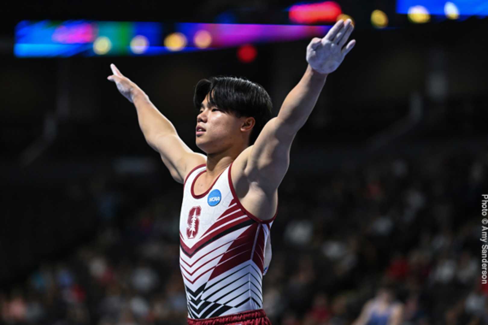 Asher Hong Gymnastics Championships