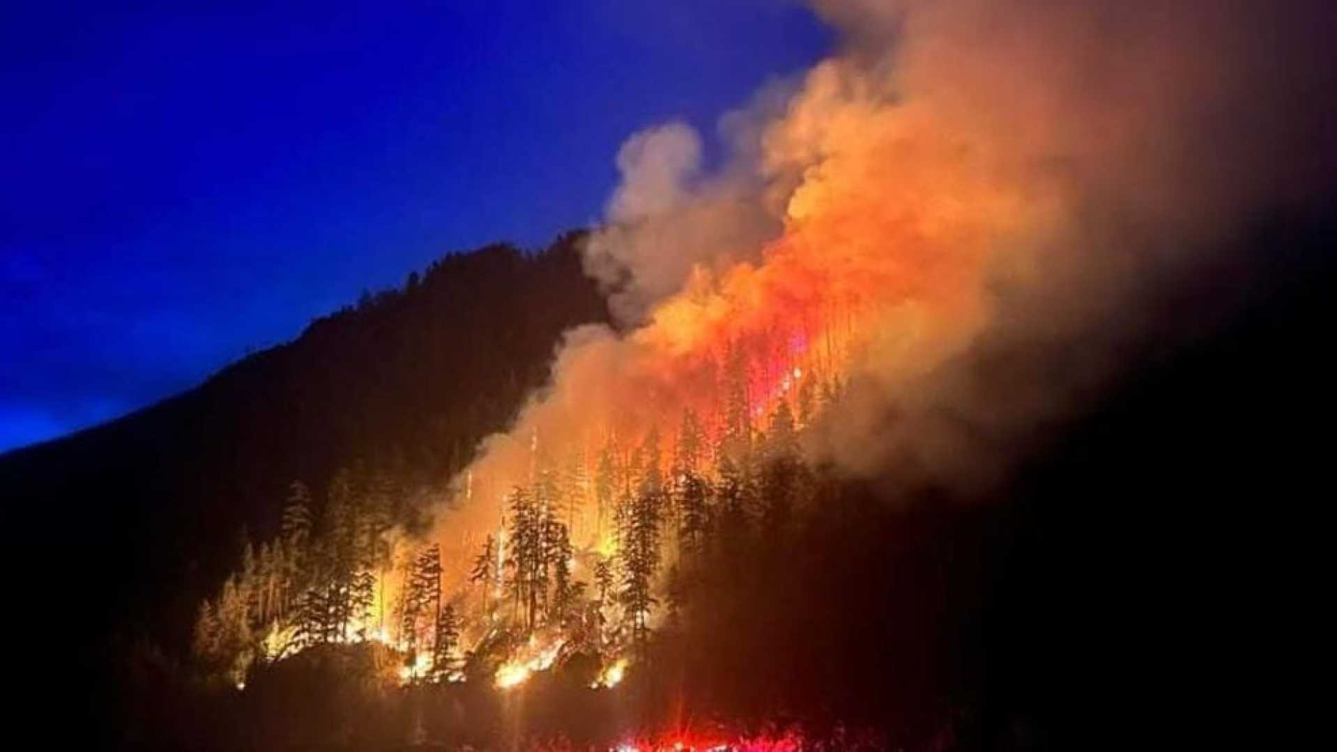 Bear Gulch Fire Lake Cushman