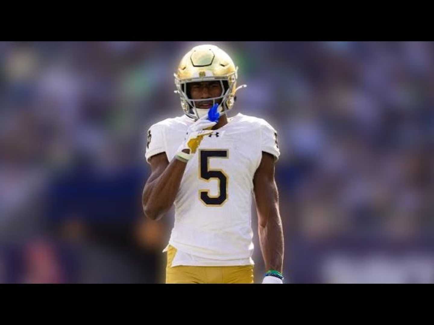 Beaux Collins Notre Dame Football Highlights