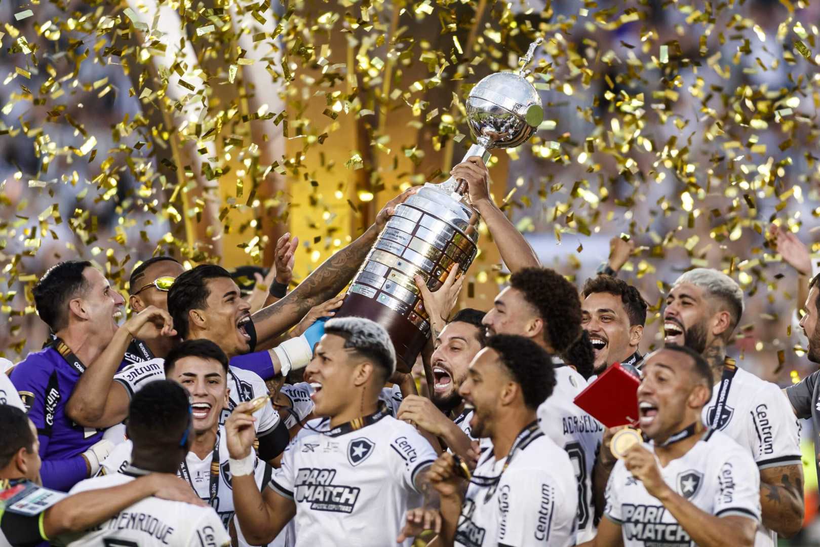 Botafogo Football Team Libertadores Match