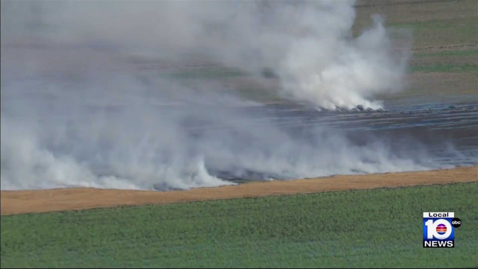 Broward County Wildfires Smoke