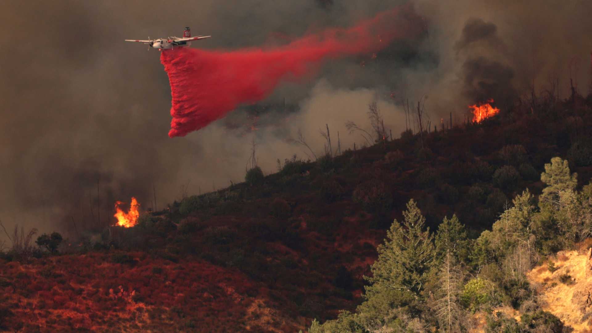California Wildfires Napa County August 2025